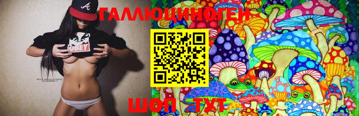 Галлюциногенные грибы MAGIC MUSHROOMS Химки